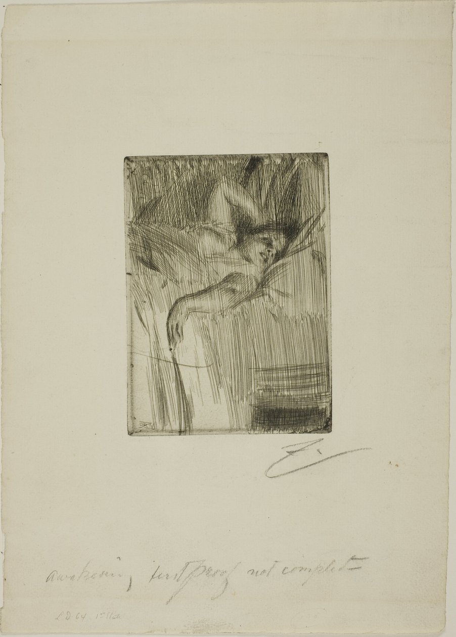 Das Erwachen von Anders Leonard Zorn