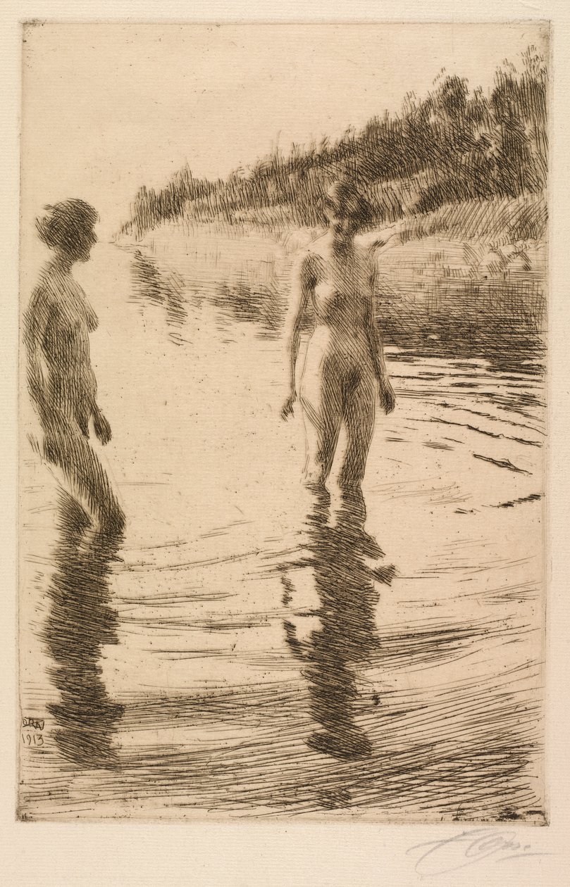 Flach von Anders Leonard Zorn