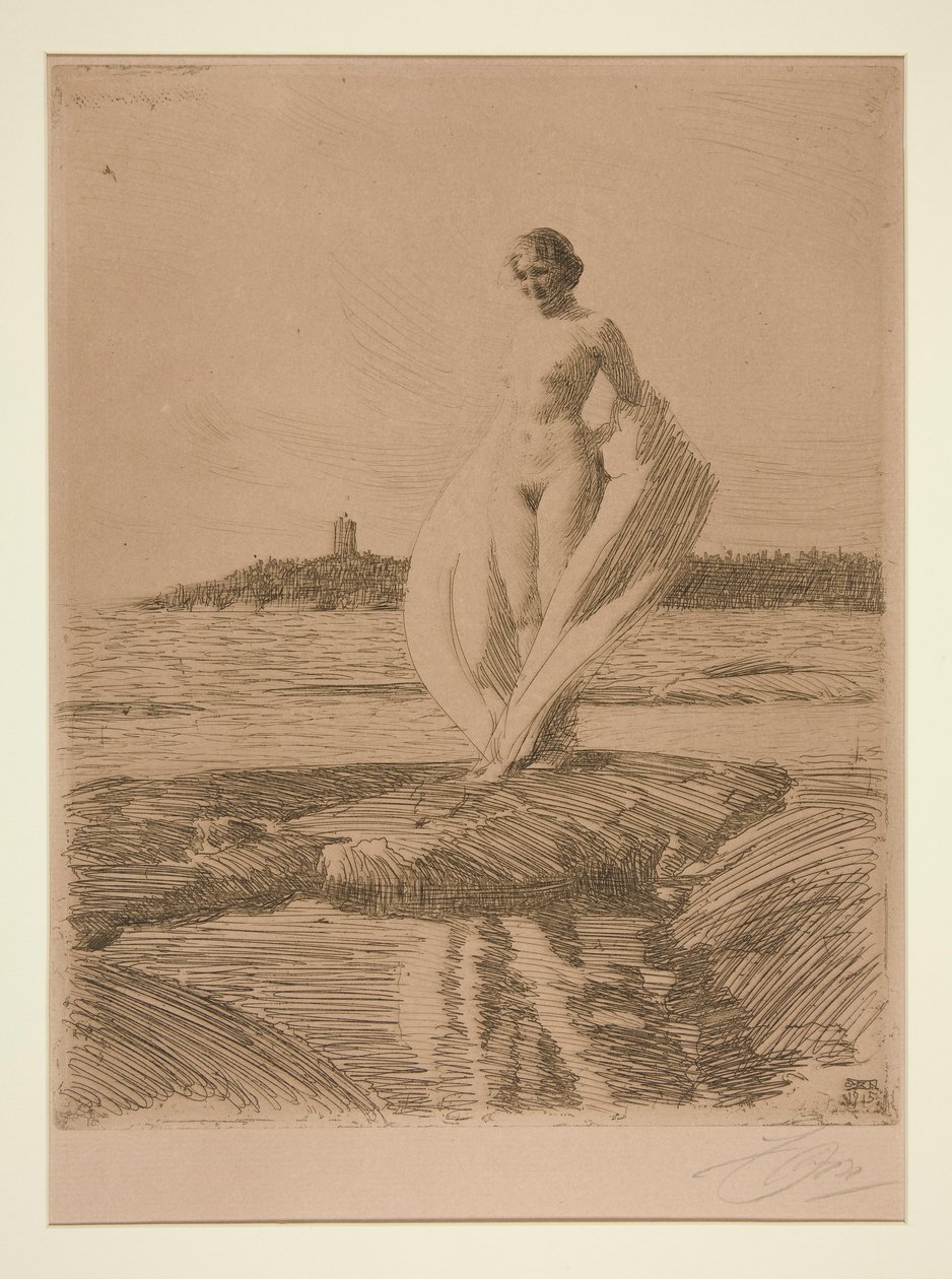 Der Schwan von Anders Leonard Zorn
