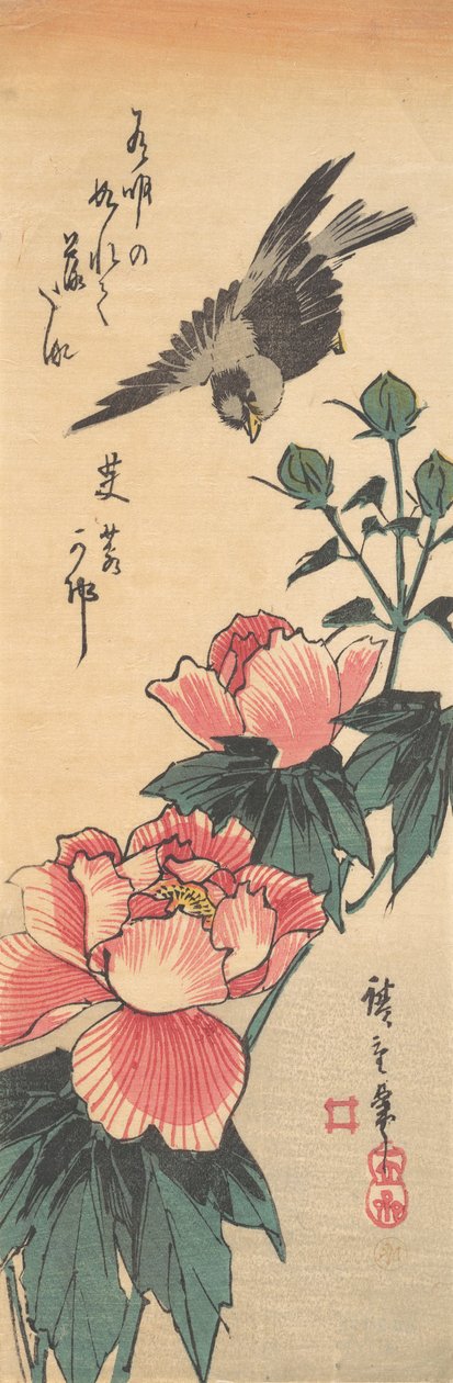 Spatz und Hibiskus von Ando Hiroshige