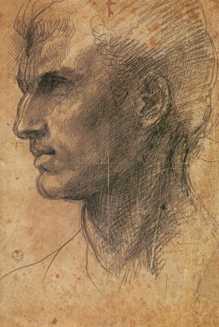 Kopf eines Mannes im Profil nach links von Andrea del Sarto