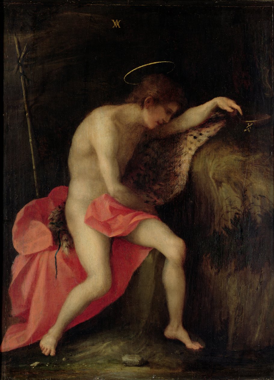 Johannes der Täufer in der Wüste von Andrea del Sarto