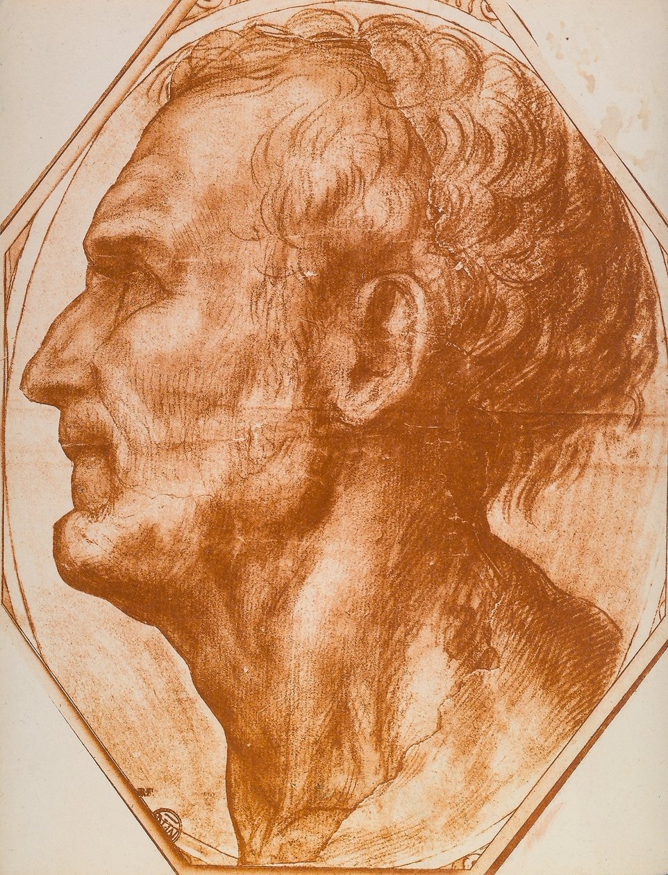 Studie eines Männerkopfes von Andrea del Sarto