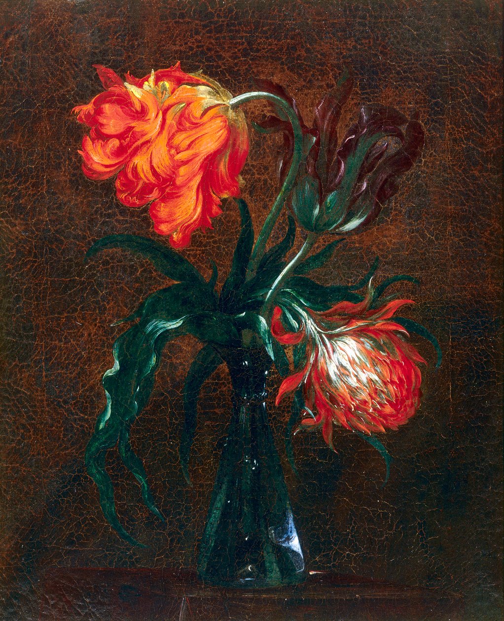 Glasvase mit zwei Tulpen von Andrea the Elder Scacciati