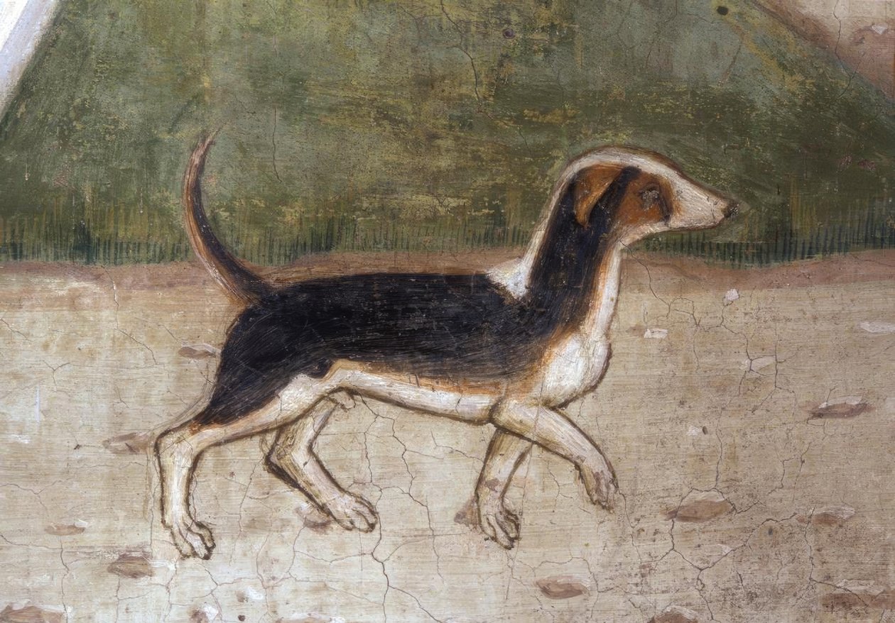 Atri, Dom, Hund / Fresko von A. Delitio von Andrea Delitio