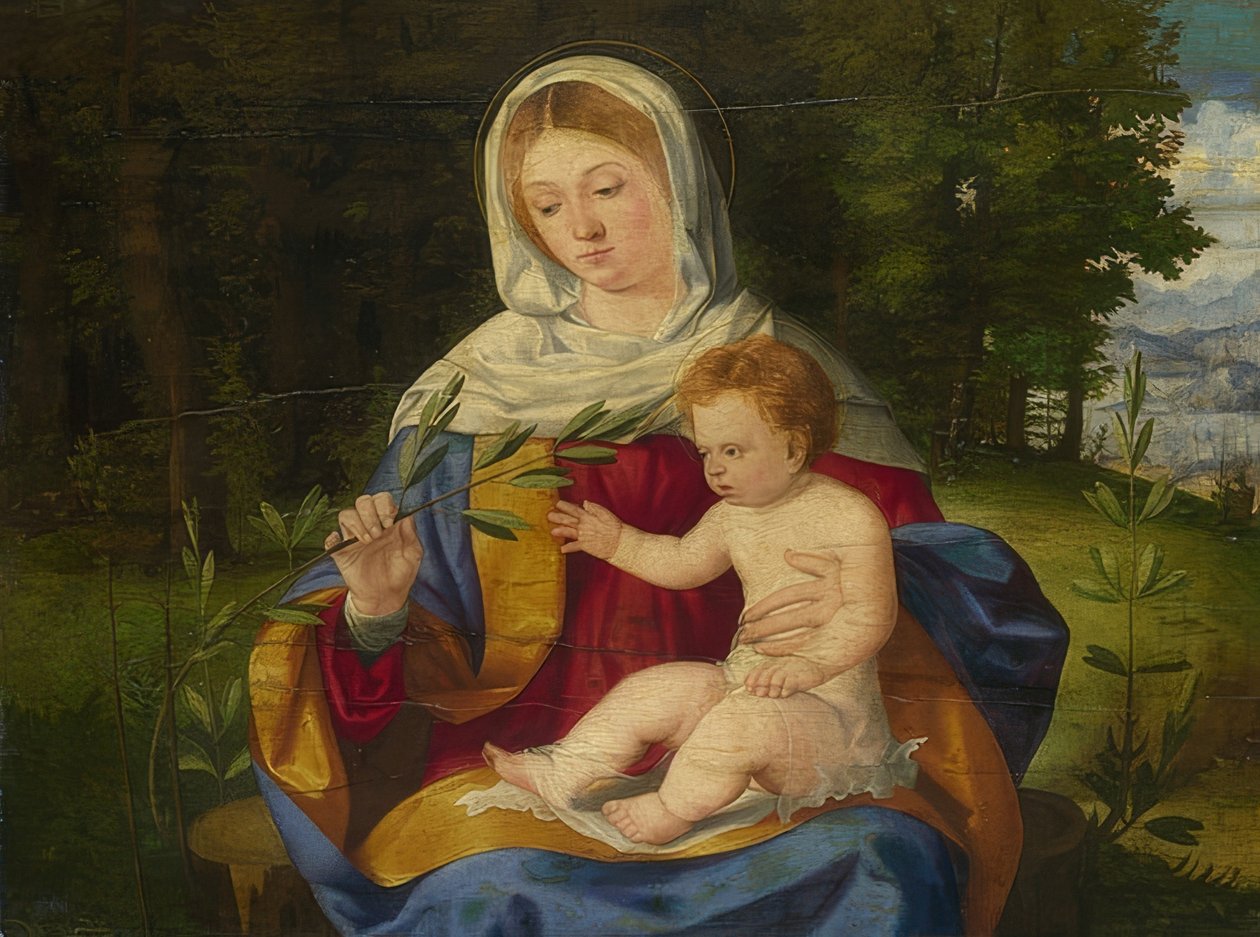 Madonna und Kind mit Olivenzweig von Andrea Previtali