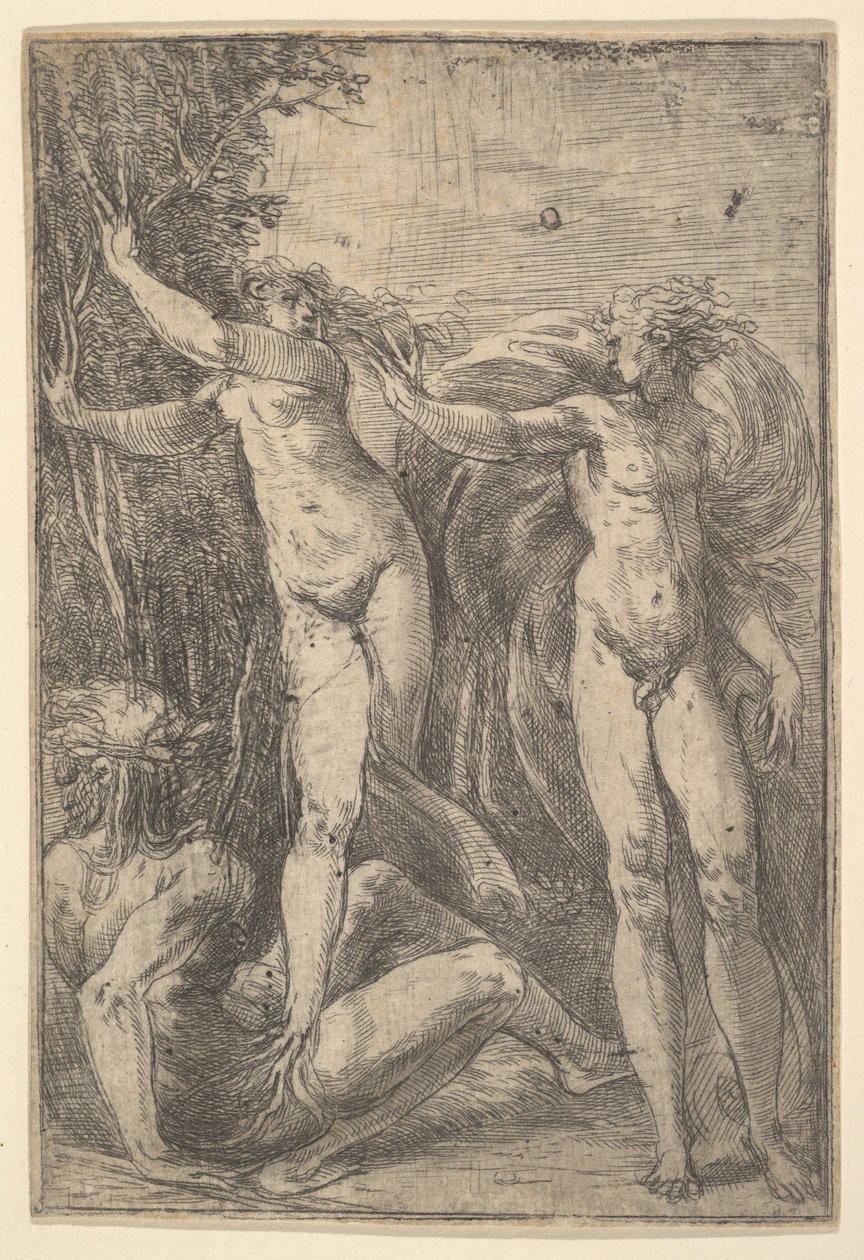 Apollo und Daphne von Andrea Schiavone