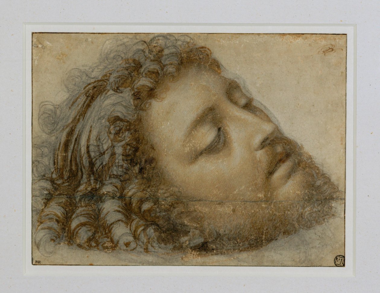 Kopf des Heiligen Johannes des Täufers von Andrea Solario