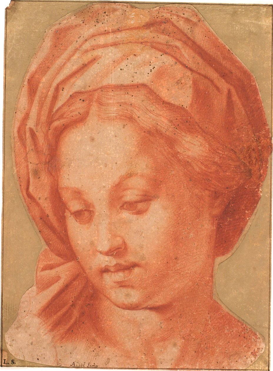 Madonna Borghese von Andrea del Sarto