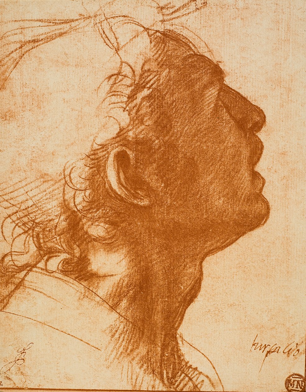 Männlicher Kopf von Andrea del Sarto