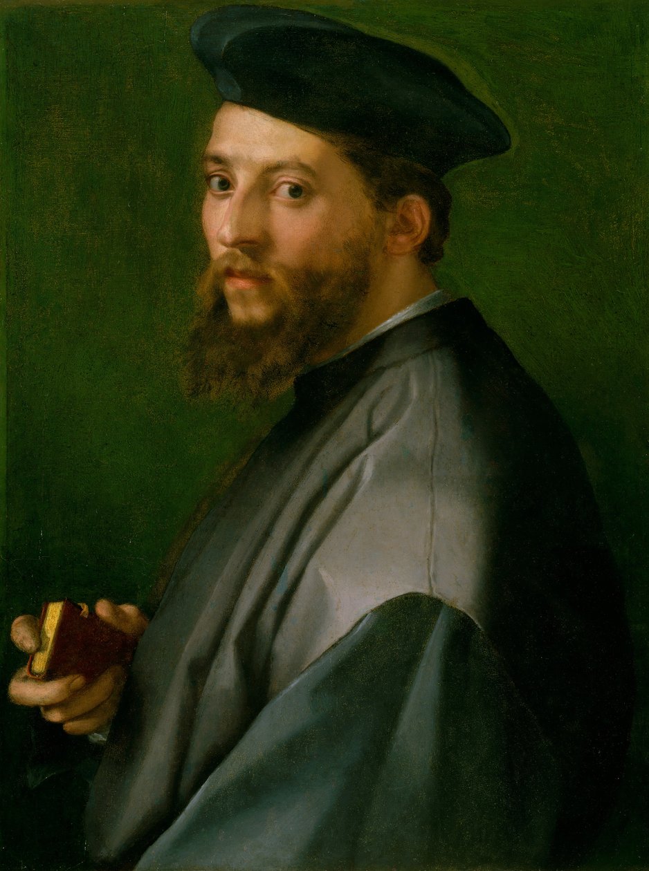 Porträt eines Mannes von Andrea del Sarto