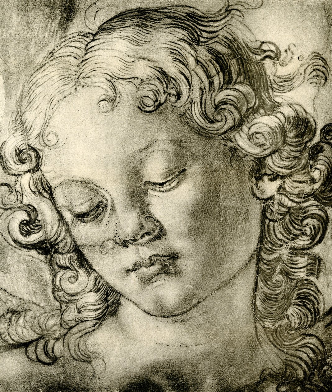 Engelskopf von Andrea del Verrocchio