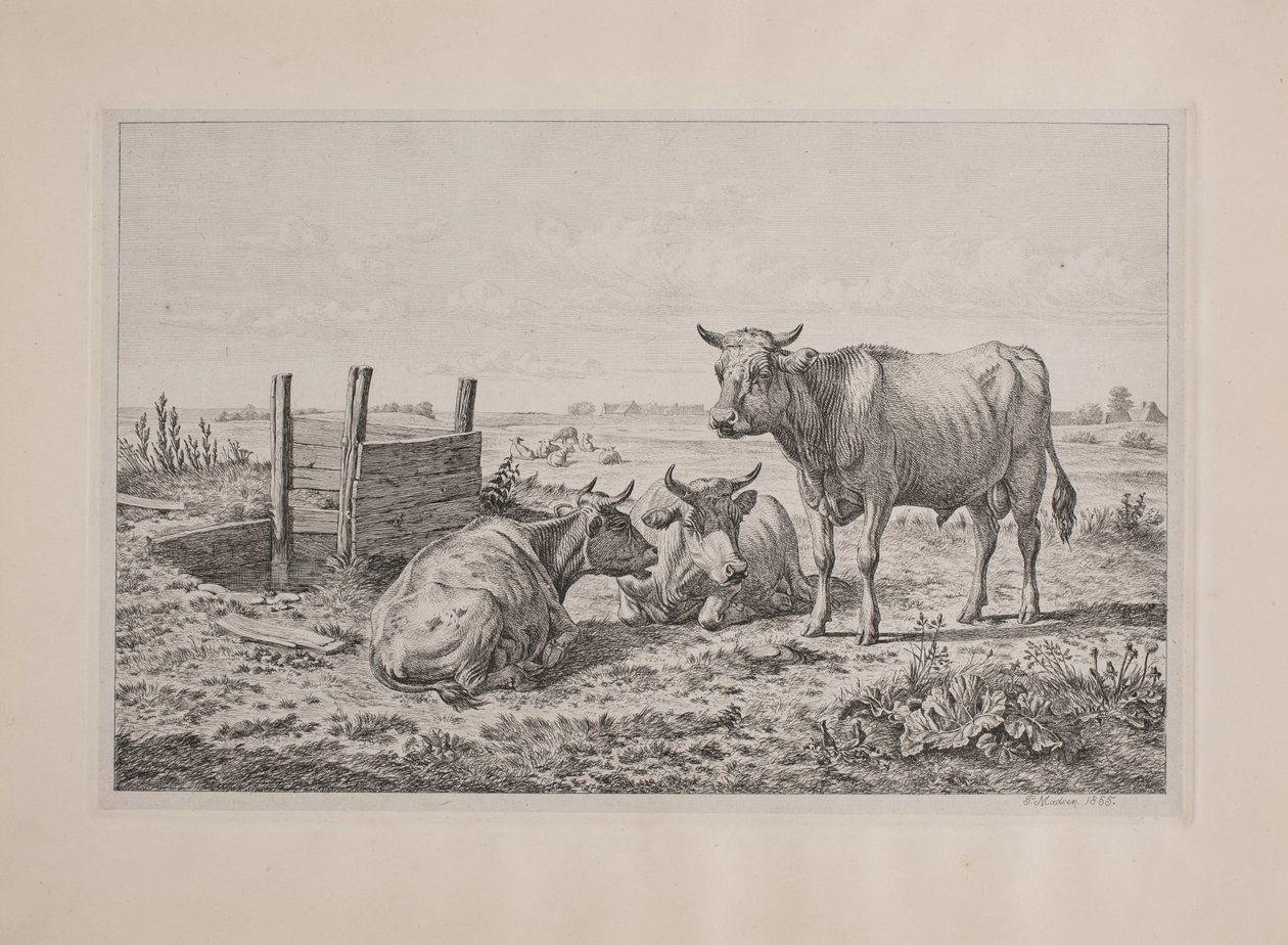 Ein Stier und zwei Kühe von Andreas Peter Madsen