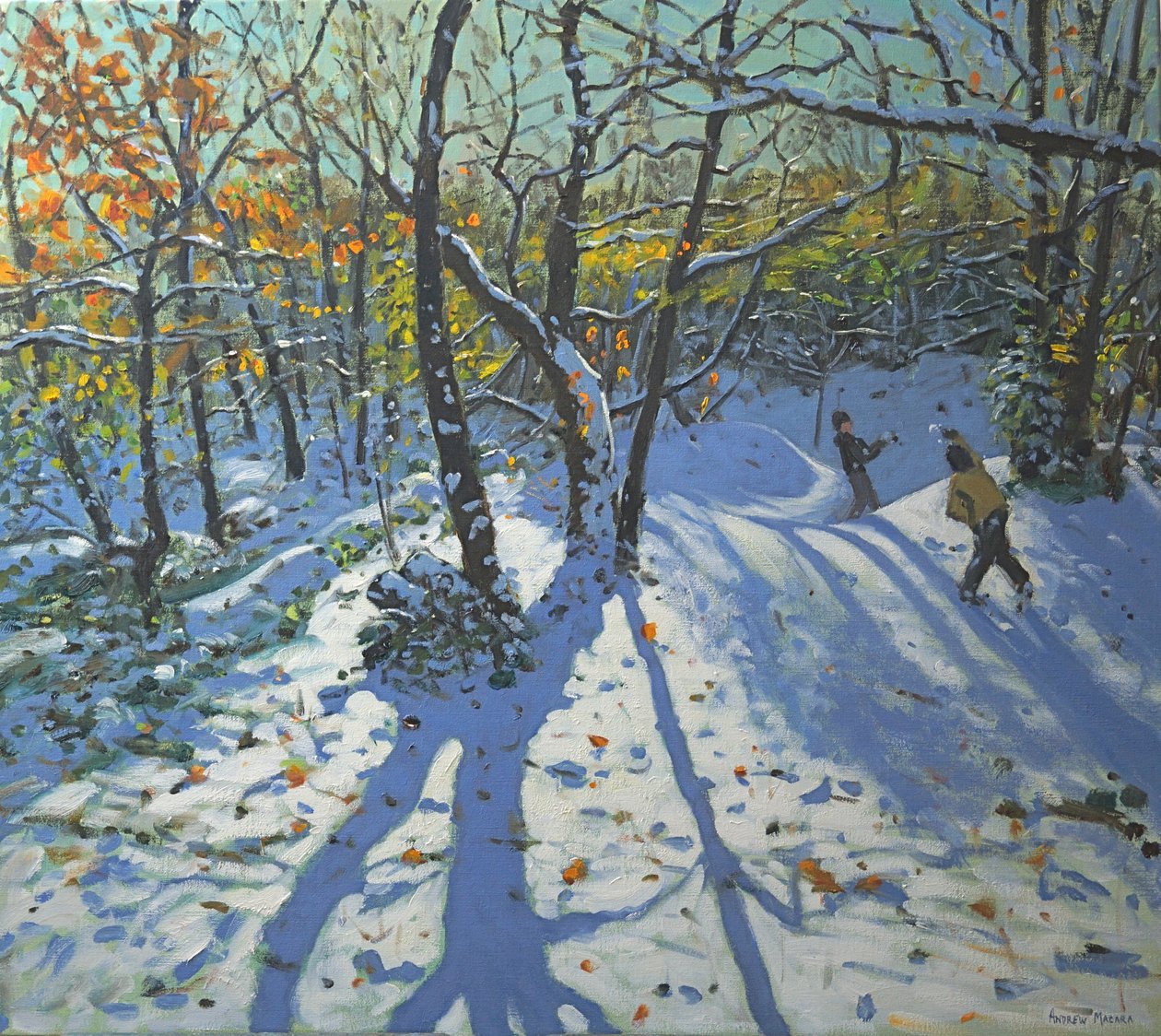 Allestree Park Woods November, 2010 von Andrew Macara