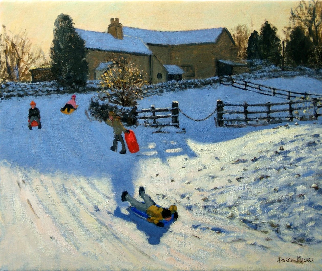 Kinder rodeln, Monyash, Derbyshire von Andrew Macara