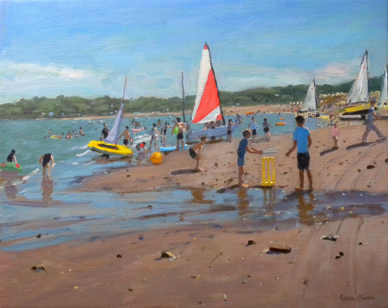 Cricket, 2011 von Andrew Macara