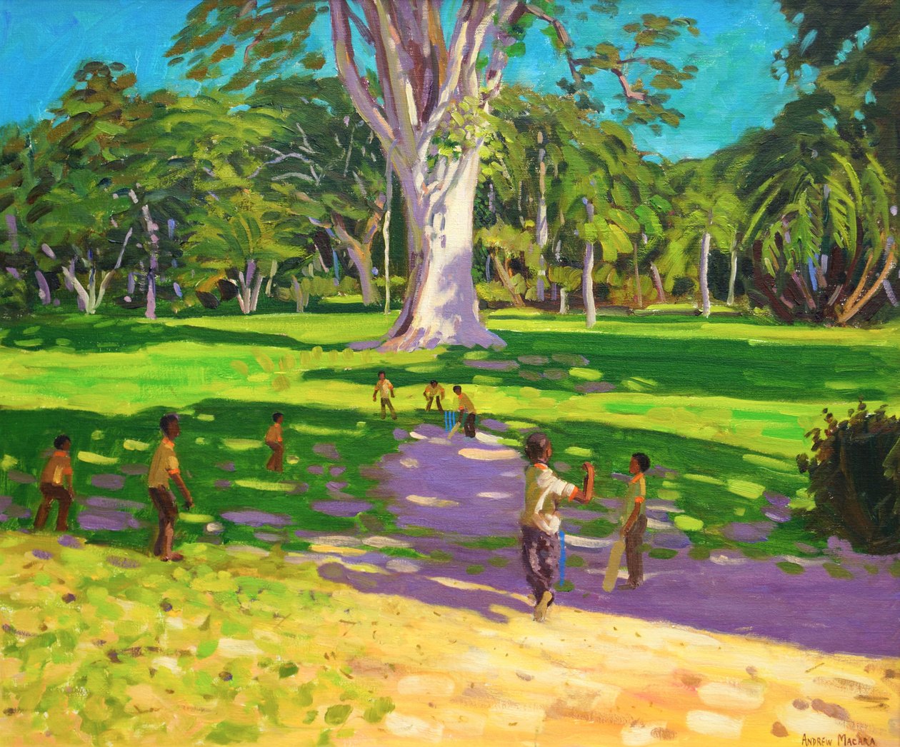 Cricketspiel, Botanische Gärten, Dominica, Grenadinen, 2011 von Andrew Macara
