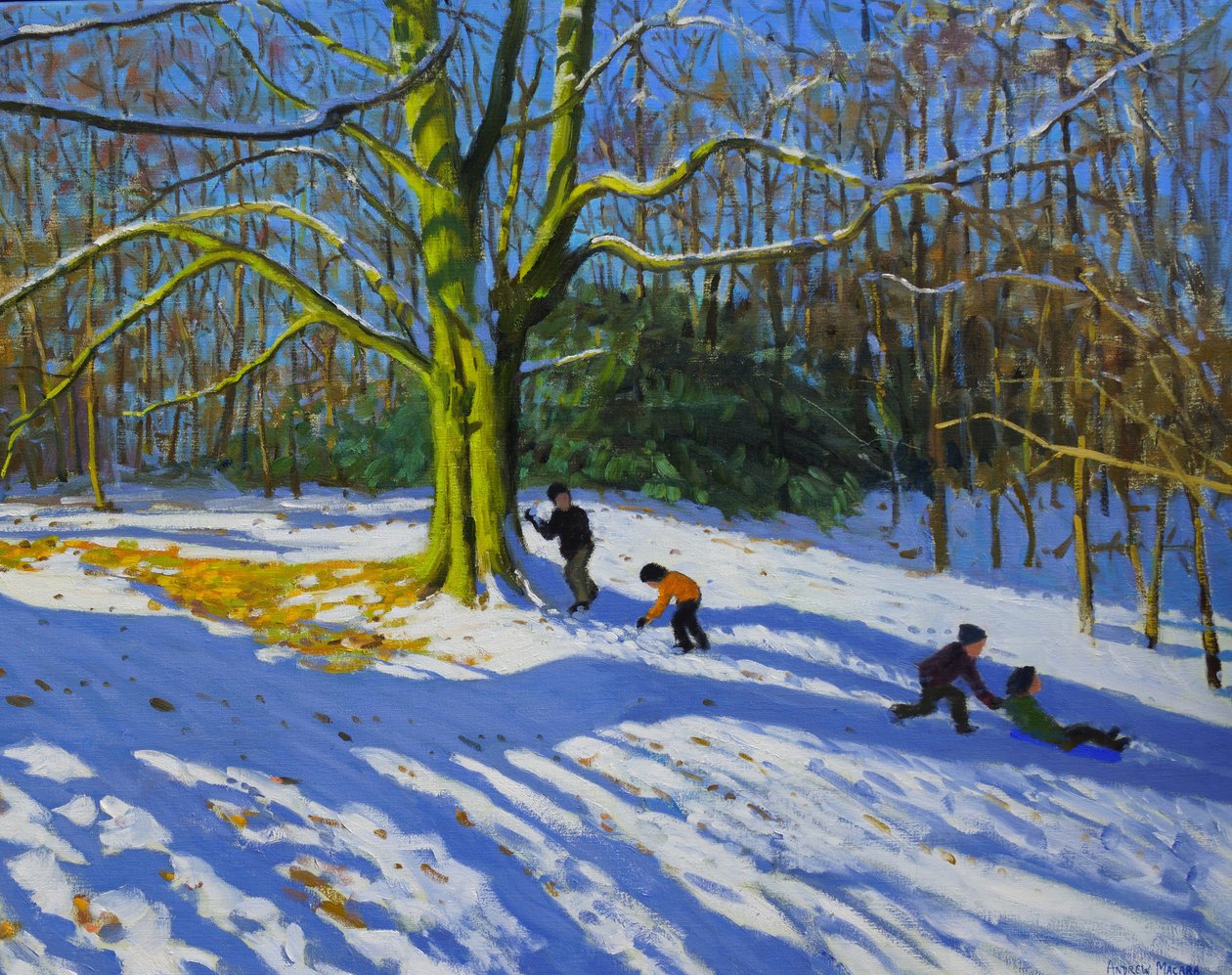 (Detail) von Allestree Park, 2014 von Andrew Macara