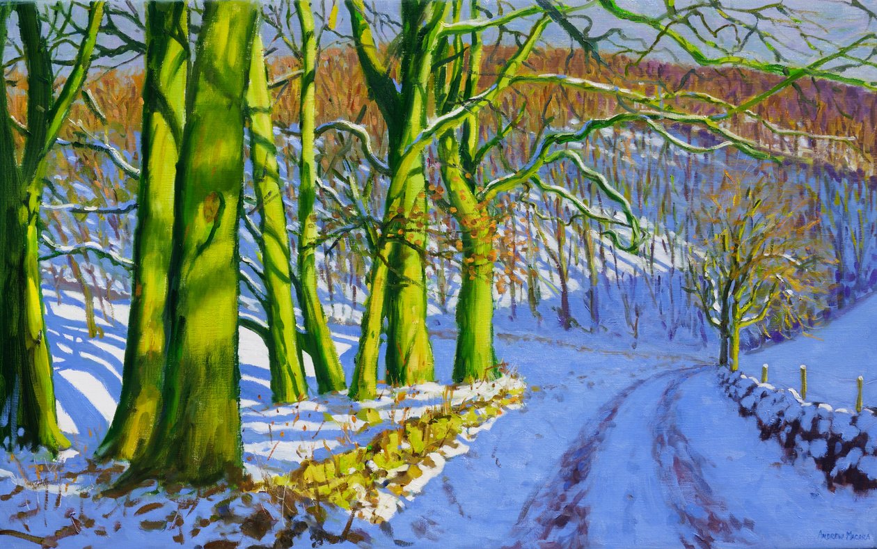 Grüne Bäume, Winter; Dam Lane; Derbyshire von Andrew Macara