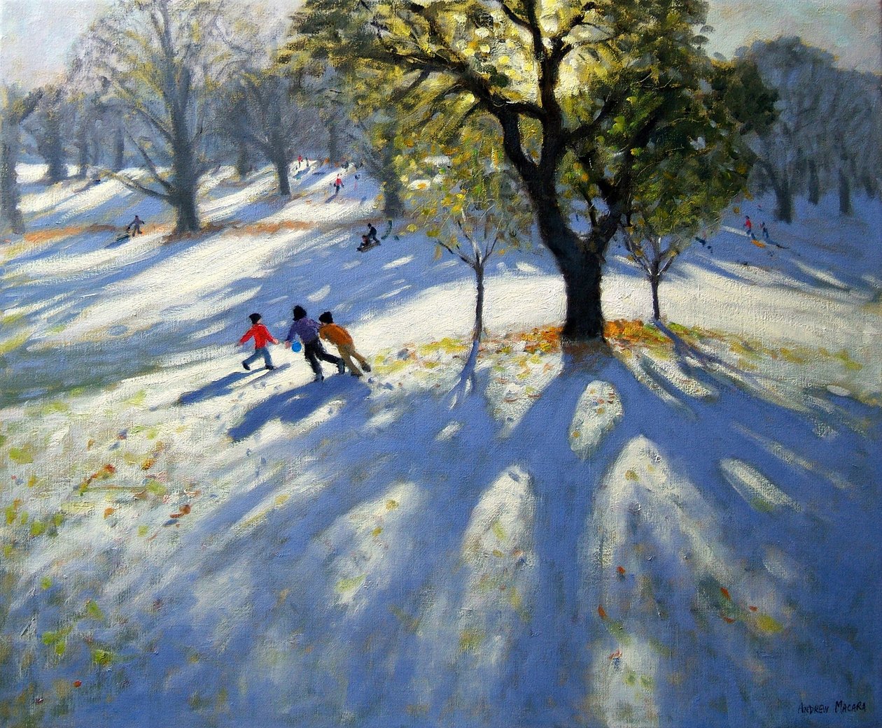 Markeaton Park, früher Schnee von Andrew Macara