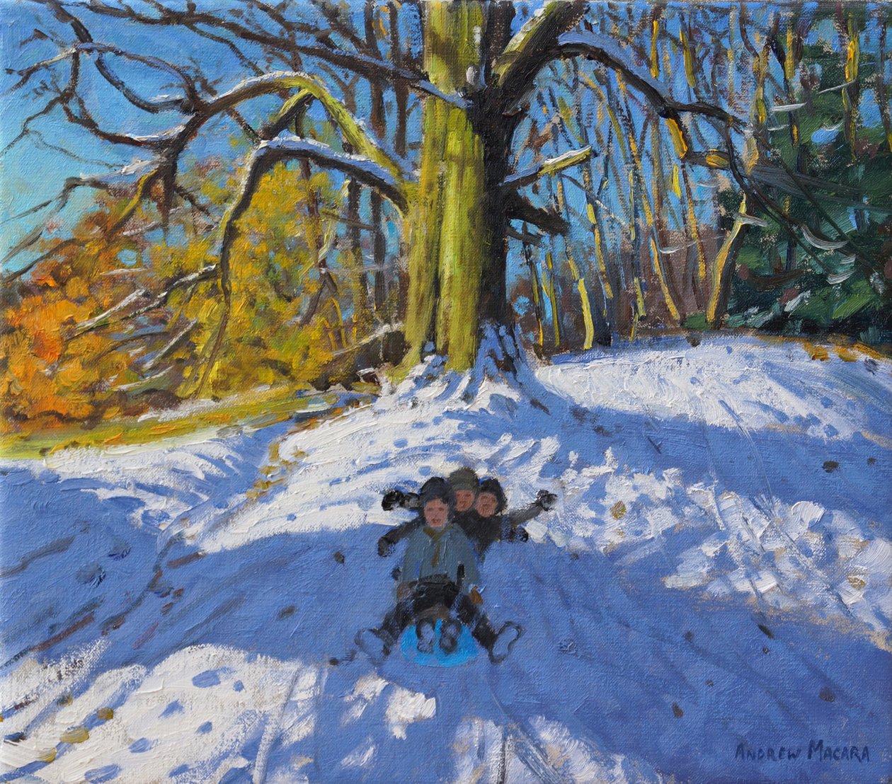 Drei auf einem Schlitten, Allestree Park Derby, 2014 von Andrew Macara