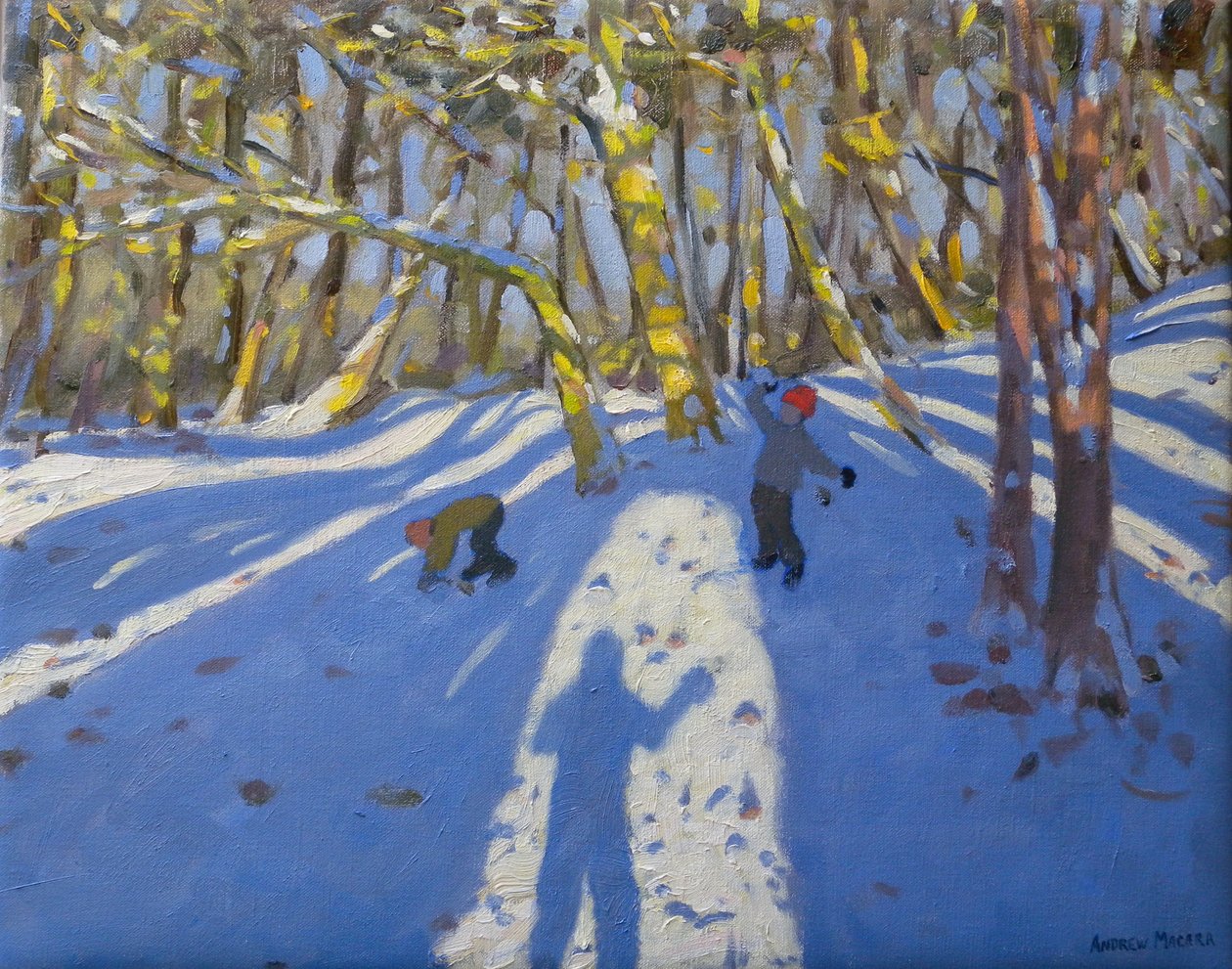Winter Elvaston Castle, 2008 von Andrew Macara