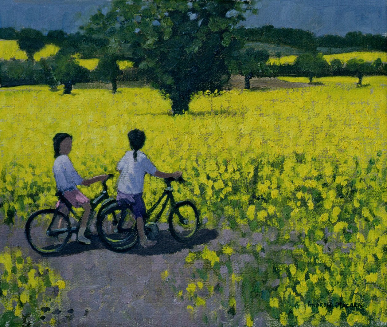 Gelbes Feld, Kedleston, Derby von Andrew Macara