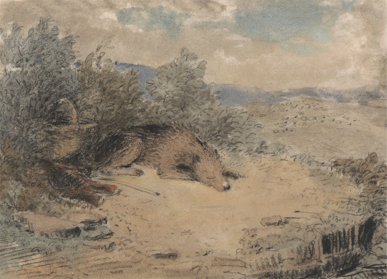 Schäferhund schläft in einer Landschaft von Andrew Geddes