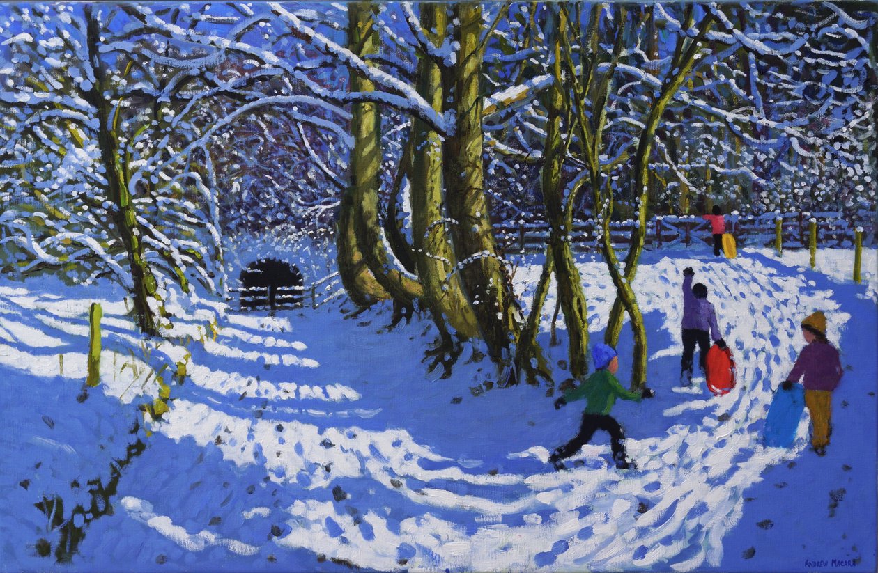 Schlittenfahren, Calke Abbey von Andrew Macara