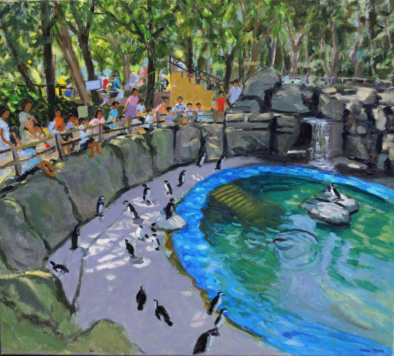 Pinguinbecken, Zoo Madrid, 2015 von Andrew Macara
