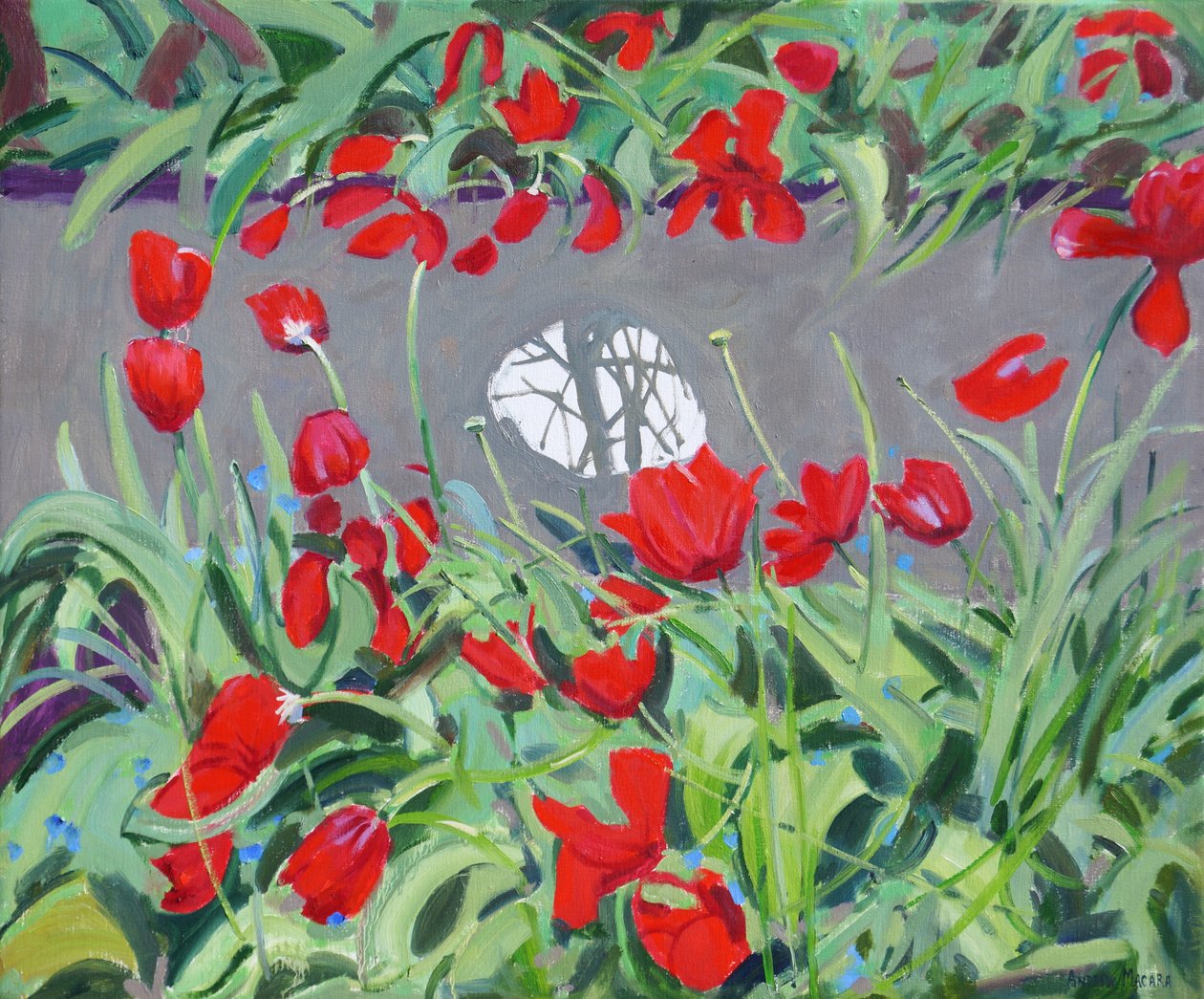 Tulpen und Reflexion von Andrew Macara