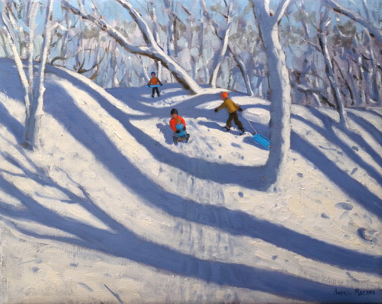 Winter, Bramcote, Nottingham von Andrew Macara