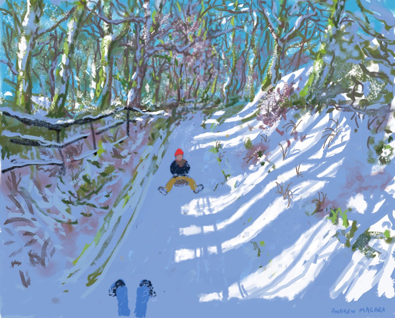 iPad-Gemälde, Rodeln, Windley Lane, Idridgehay, Belper von Andrew Macara