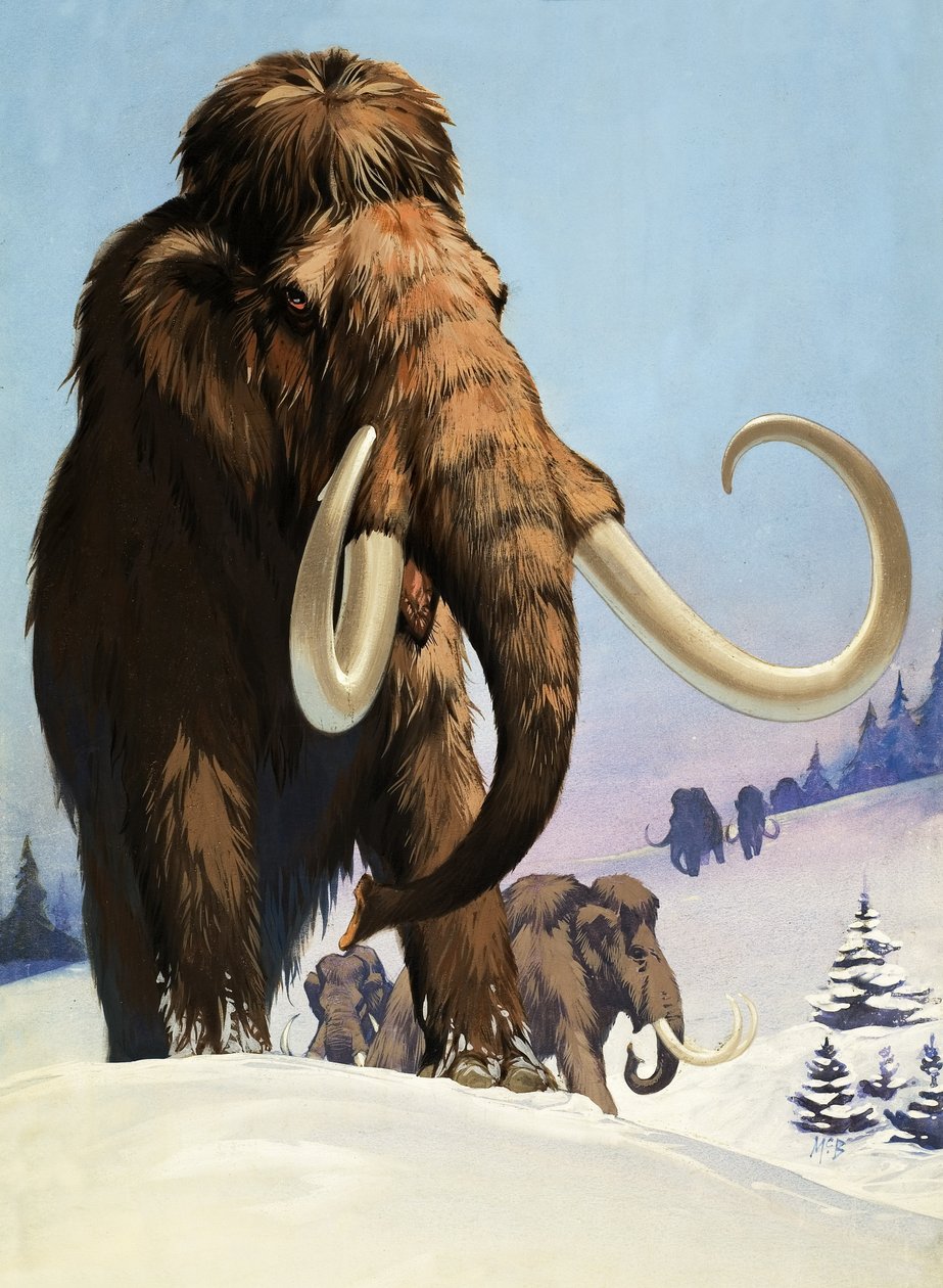 Mammuts aus der Eiszeit von Angus McBride