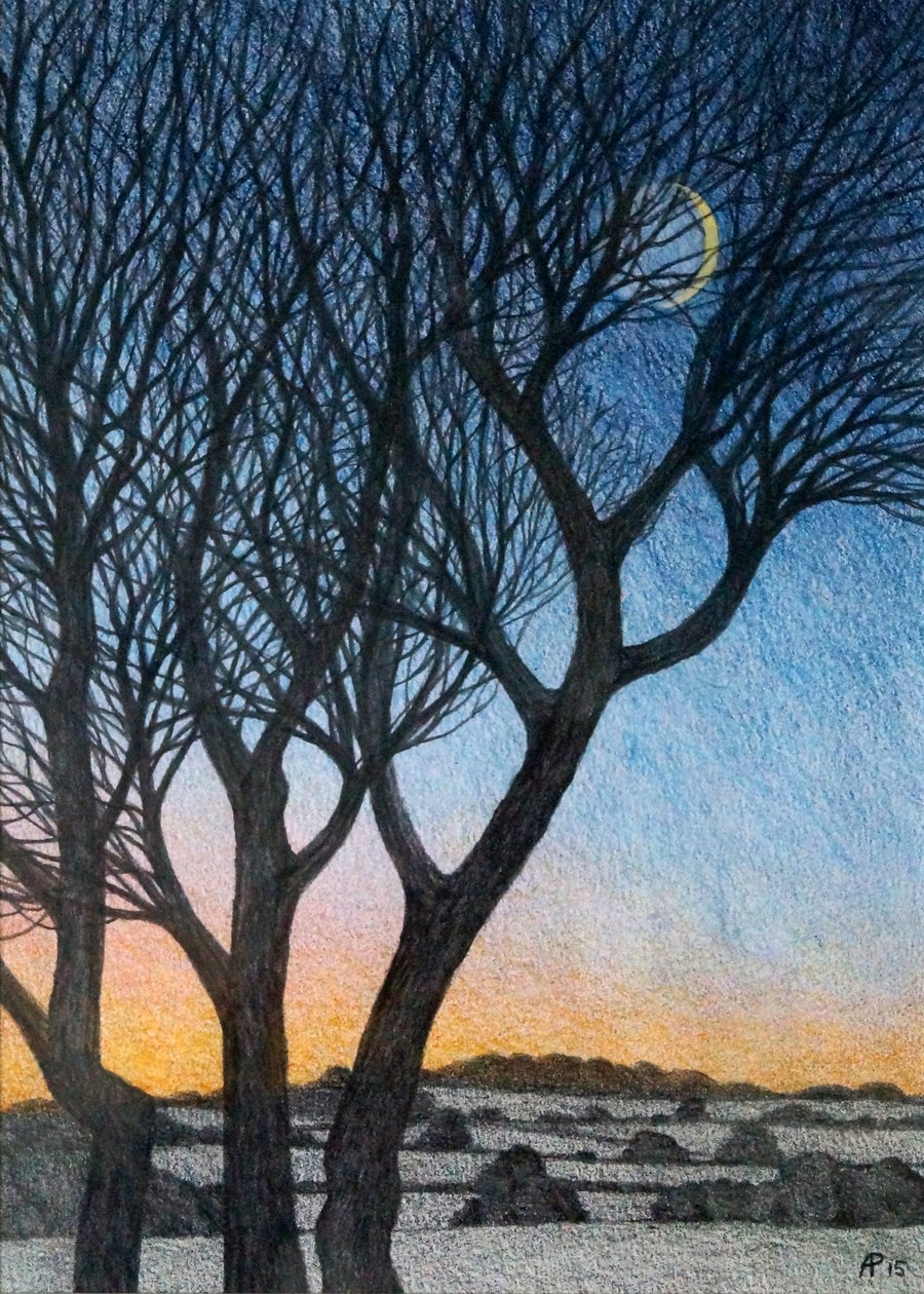 Bäume und Mond, 2015 von Anna Phillips