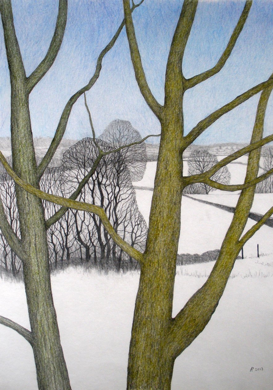 Wintertag, 2013 von Anna Phillips