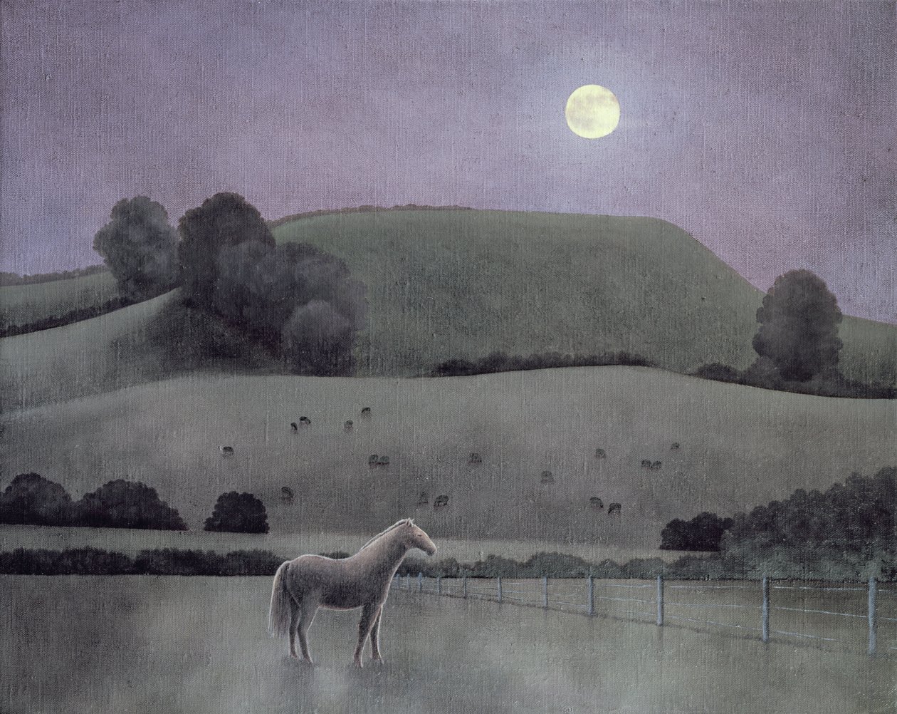 Pferd im Mondlicht von Anna Phillips