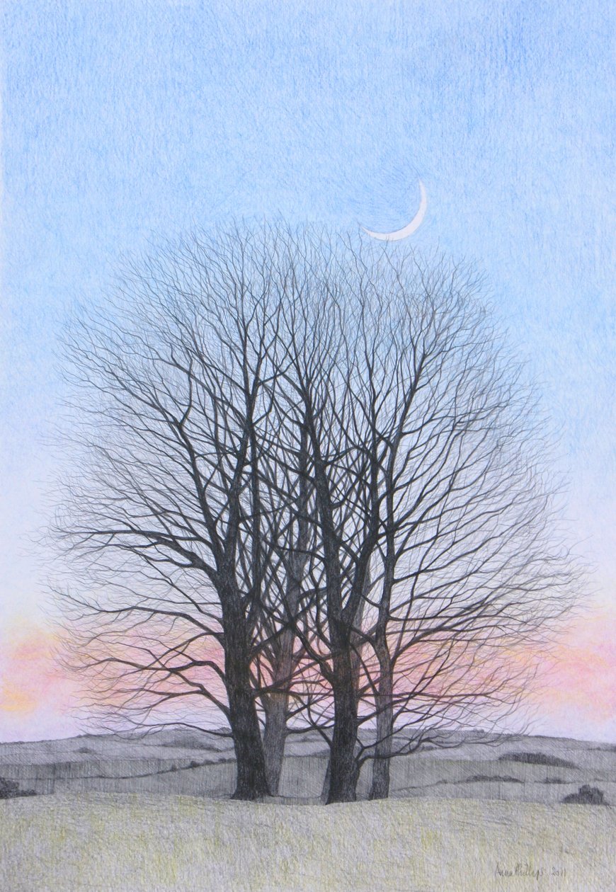 Neumond, 2011 von Anna Phillips