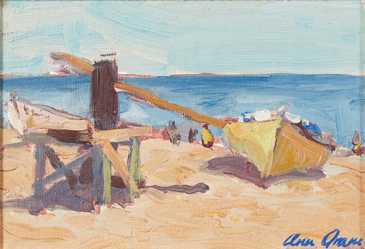 Der Strand, La Linea von Ann Oram
