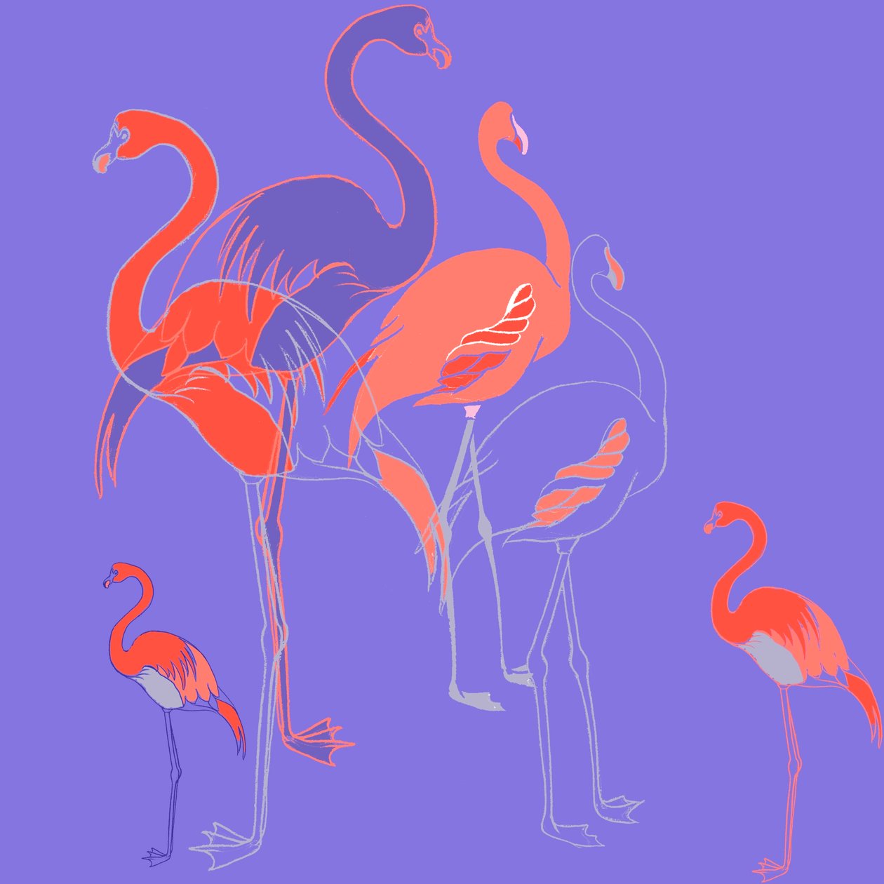 Flamingos von Anna Platts