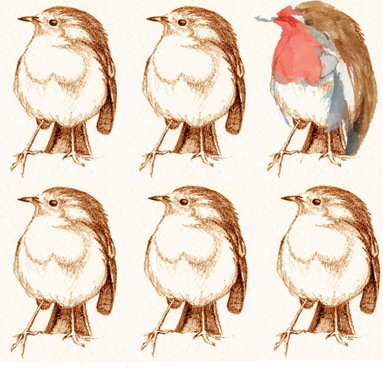 Rotkehlchen von Anna Platts