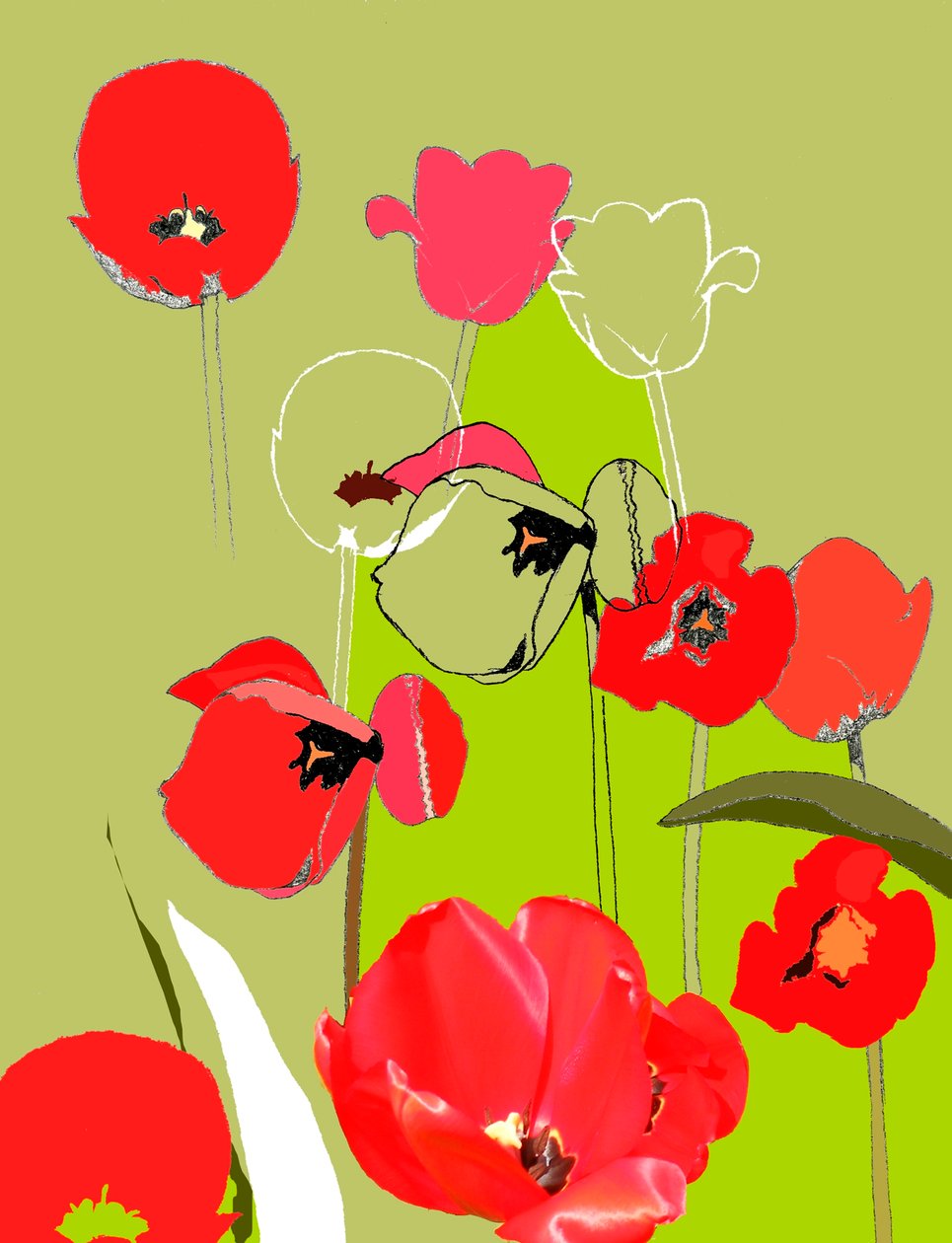 Tulpe von Anna Platts