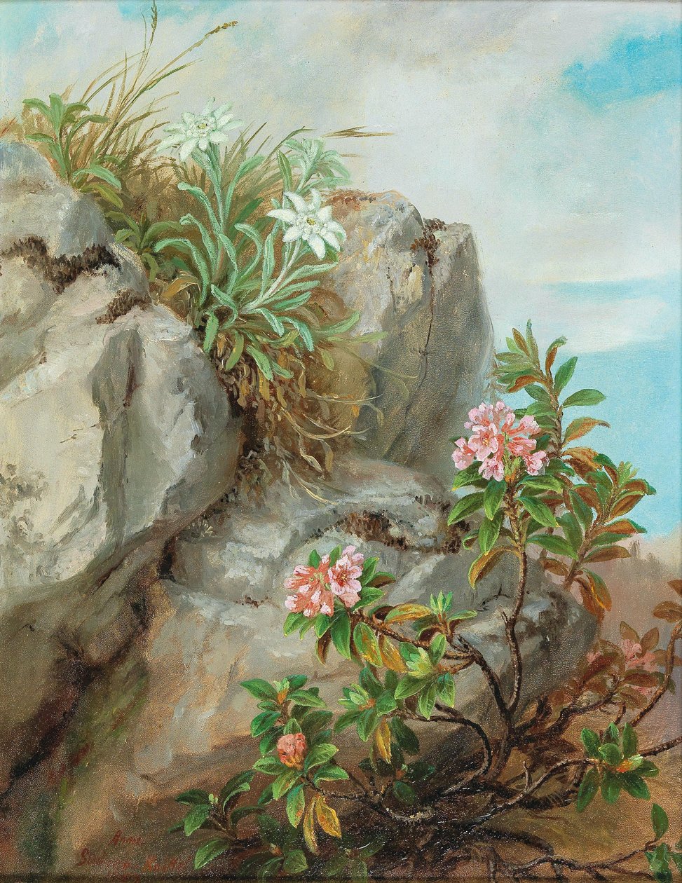 Alpenrosen von Anna Stainer Knittel