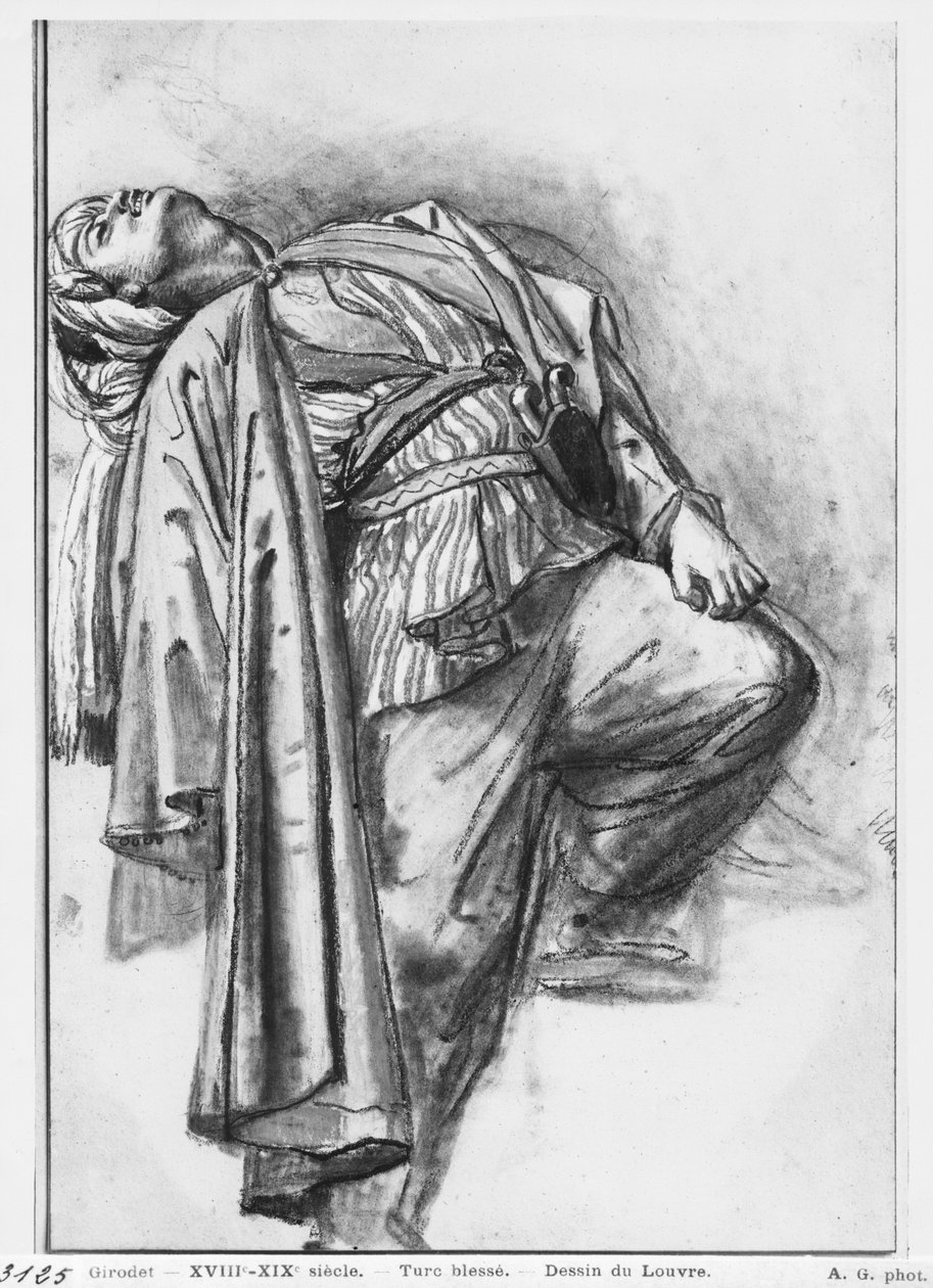 Verwundeter Türke von Anne Louis Girodet de Roucy Trioson