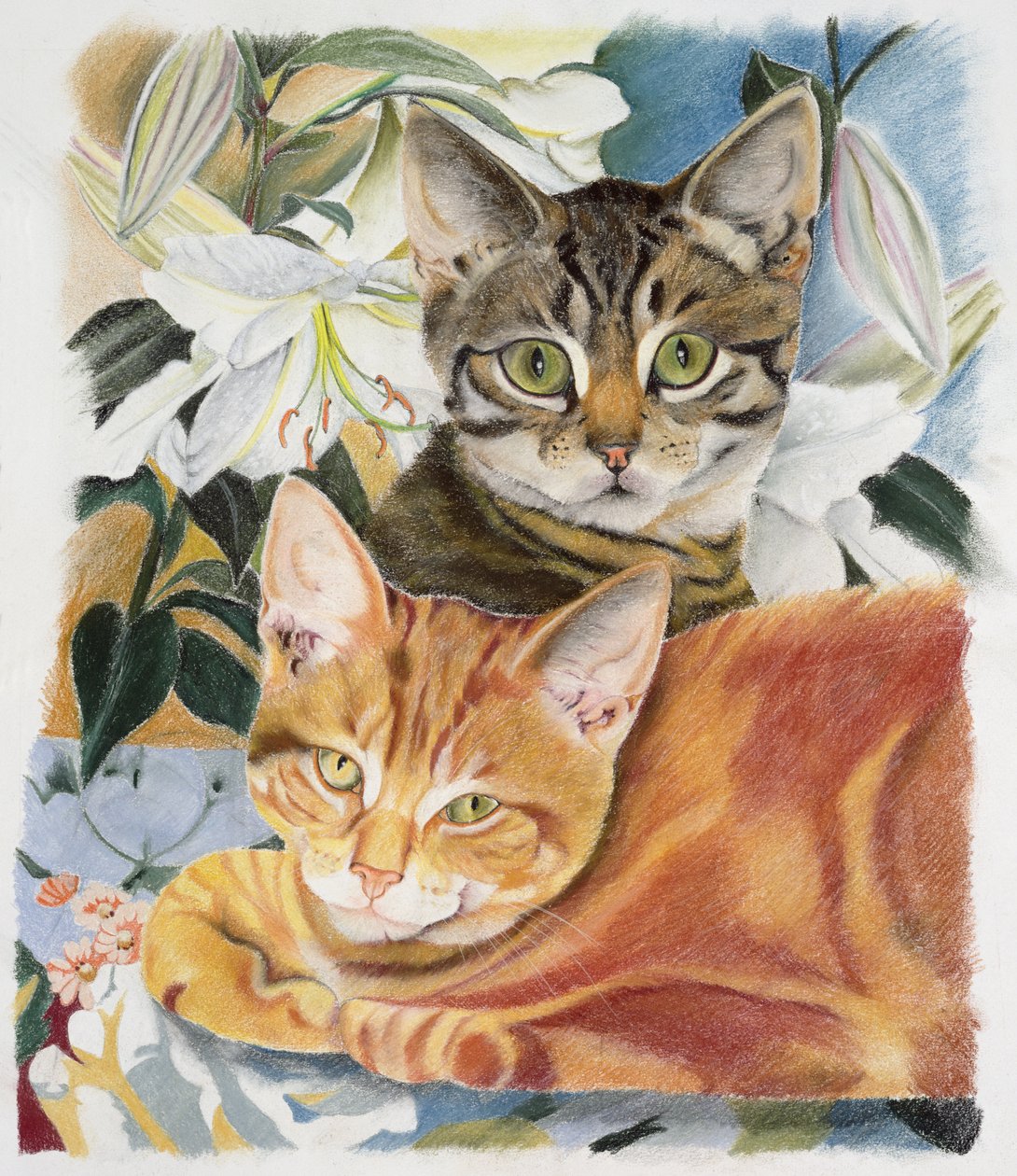 Pfeffer und Salz von Anne Robinson