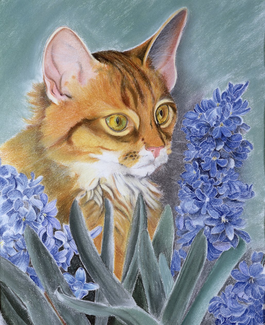 Tosca von Anne Robinson
