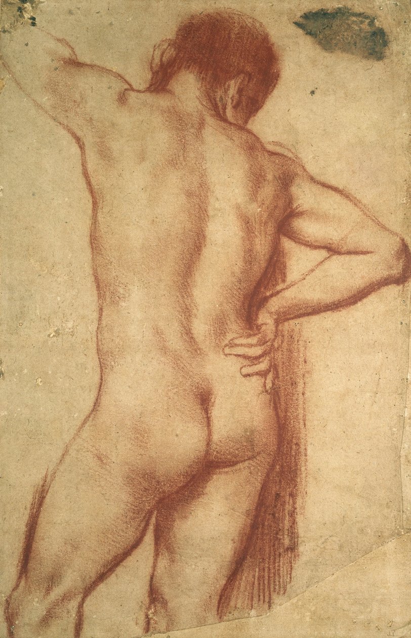 Studie eines nackten Mannes von Annibale Carracci