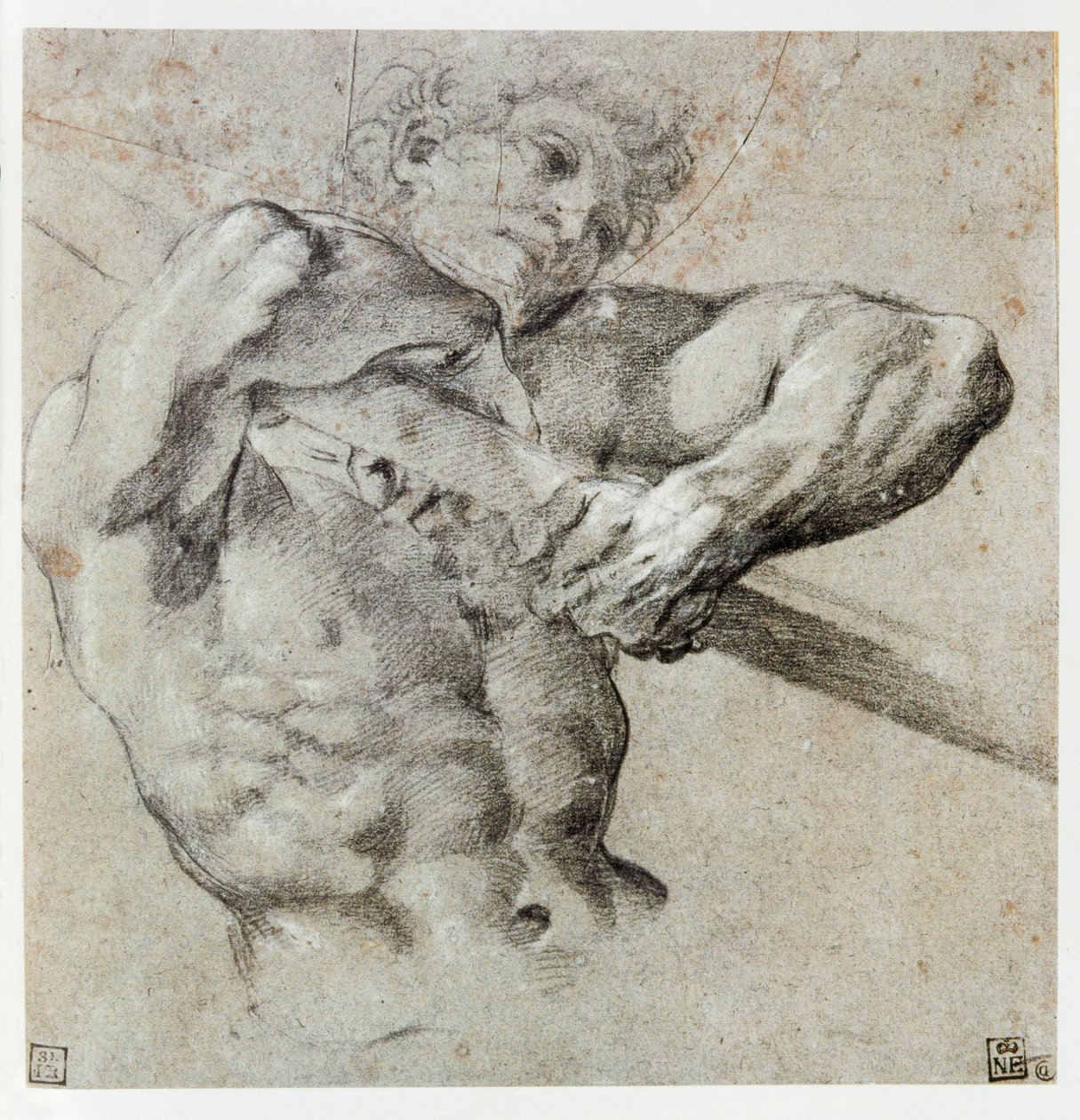 Studie einer männlichen Figur von Annibale Carracci
