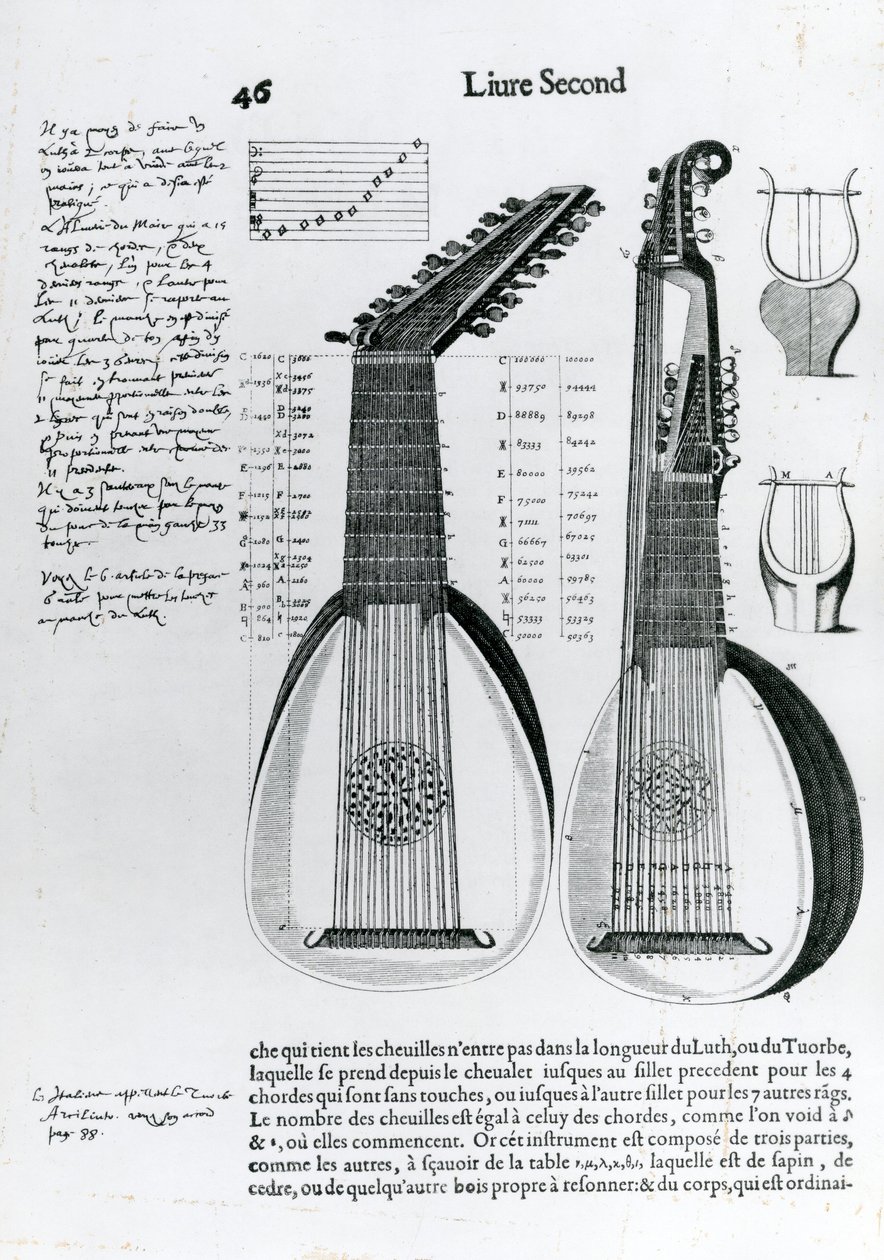 Laute, 1636 von Unbekannt Unbekannt