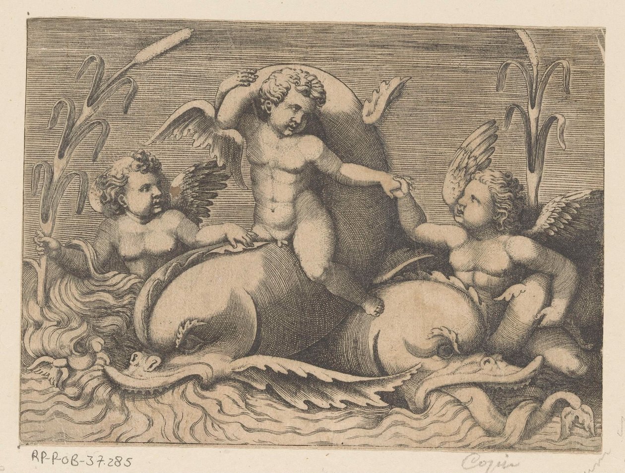 Drei Putti mit Delfinen von Anonymous
